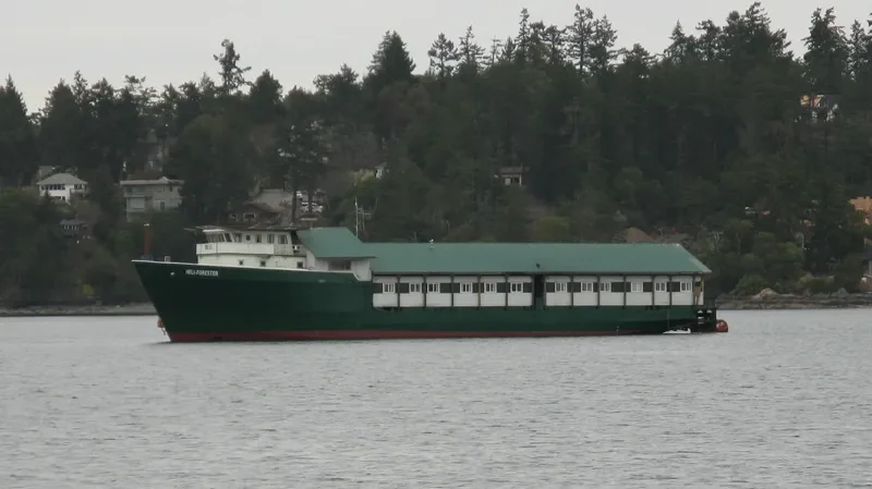 OCEANIDA ONE General Cargo IMO 7433878