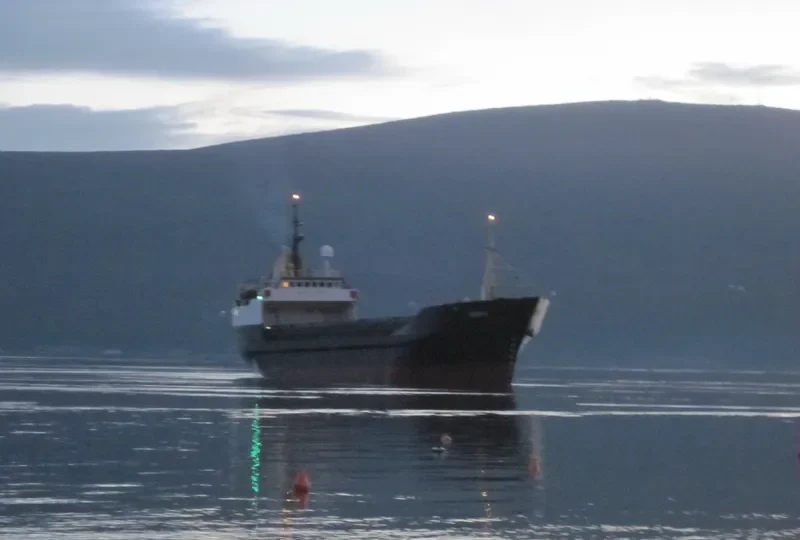 GERI II General Cargo IMO 7434729 photo 2