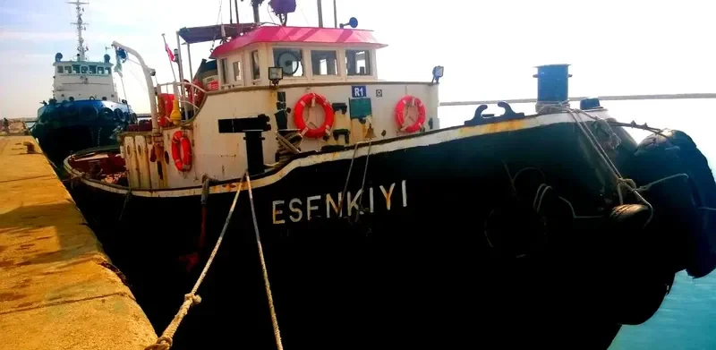 ESENKIYI Tug Boat IMO 7434858 photo 2
