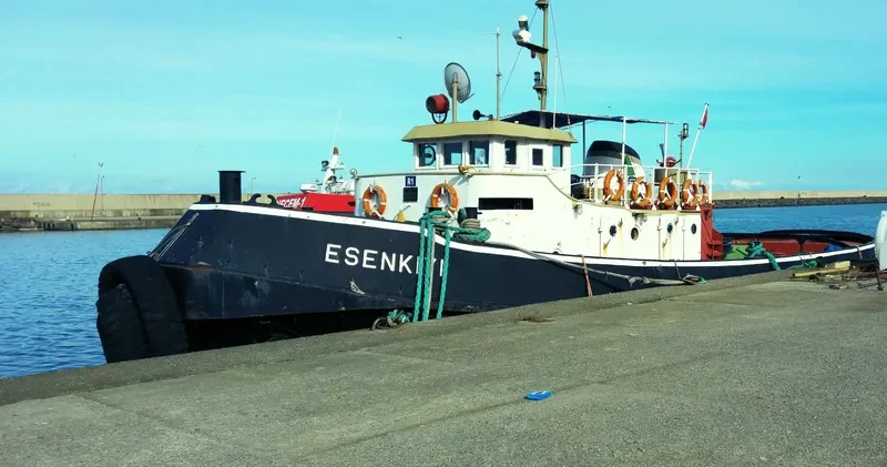 ESENKIYI Tug Boat IMO 7434858 photo 5