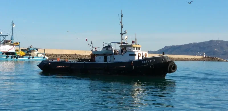 ESENKIYI Tug Boat IMO 7434858 photo 7