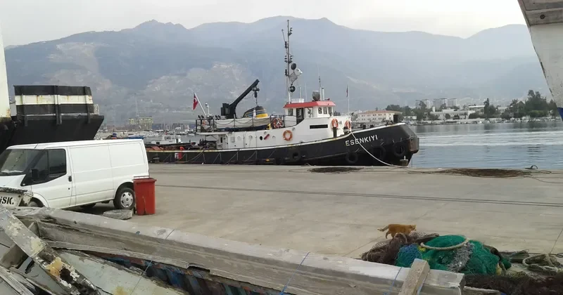 ESENKIYI Tug Boat IMO 7434858 photo 8