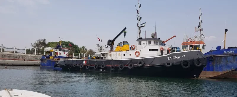ESENKIYI Tug Boat IMO 7434858 photo 10