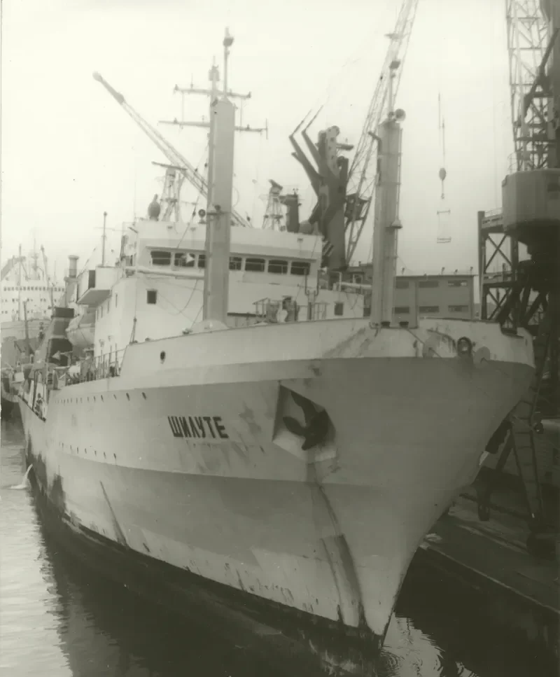 SILUTE General Cargo IMO 7435345