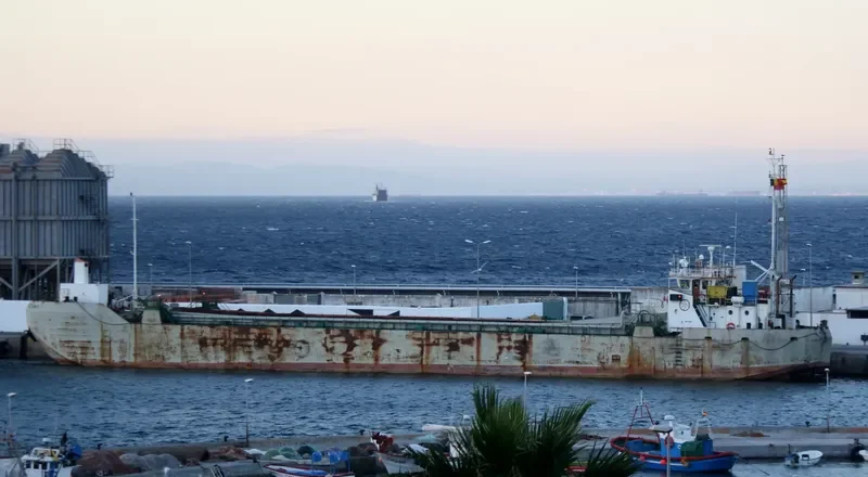 ARLINDO ROCHA General Cargo IMO 7437094 photo 8