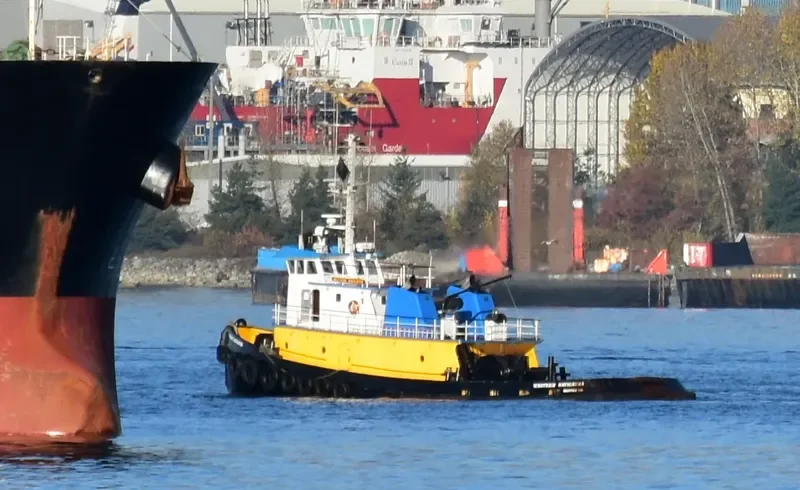 WESTERN RANGER General Cargo IMO 7437214