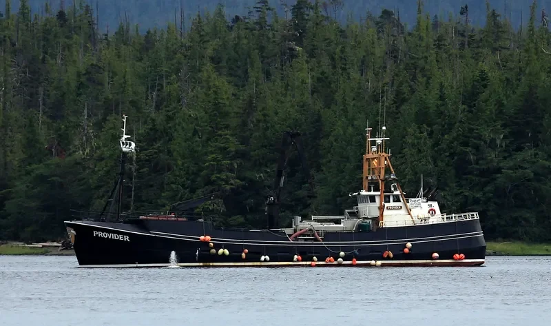 PROVIDER General Cargo IMO 7437654 photo 5