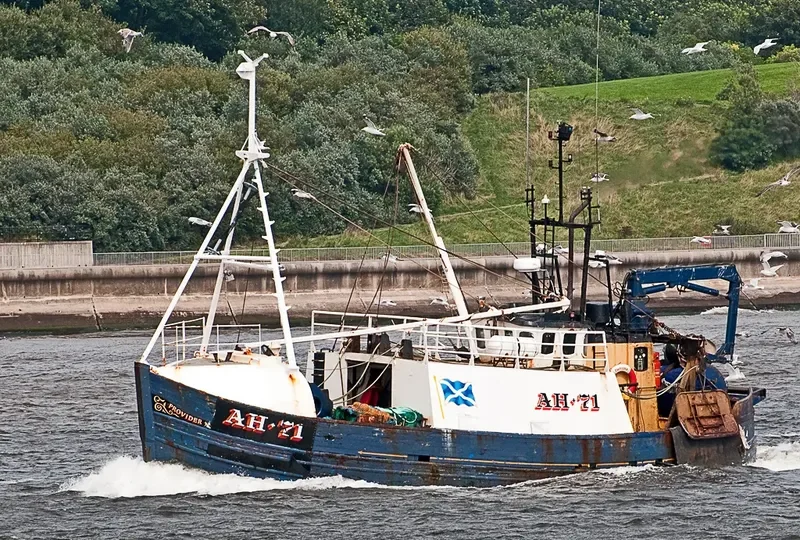 PROVIDER General Cargo IMO 7437654 photo 7