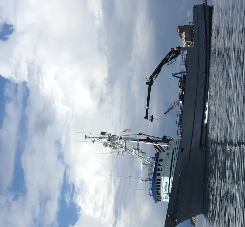 SILVER DOLPHIN Fishing Vessel IMO 7437721