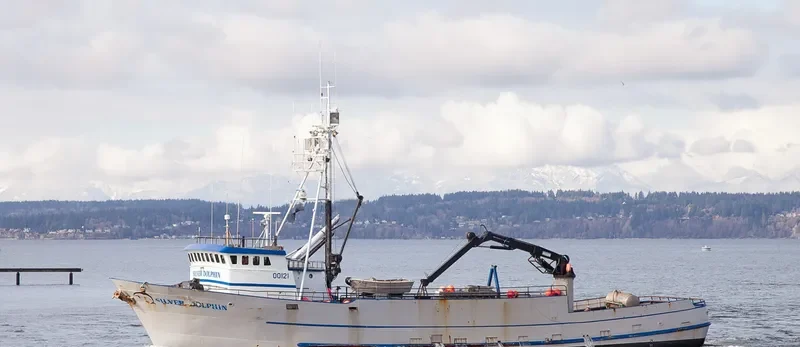 SILVER DOLPHIN Fishing Vessel IMO 7437721 photo 3