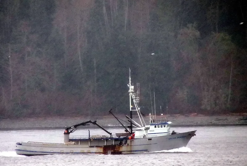 SILVER DOLPHIN Fishing Vessel IMO 7437721 photo 4
