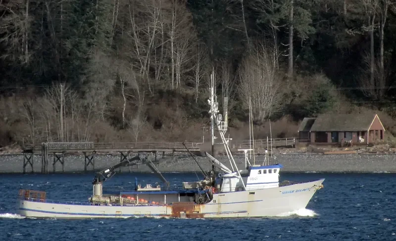 SILVER DOLPHIN Fishing Vessel IMO 7437721 photo 5