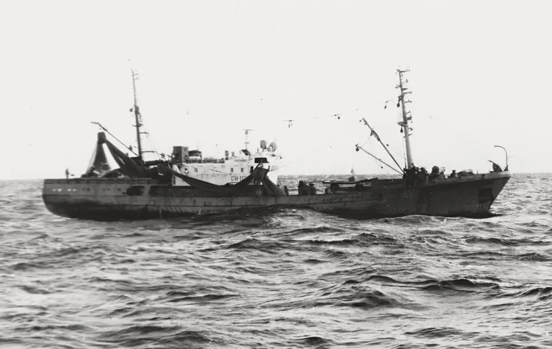 ROSHCHINO General Cargo IMO 7438218