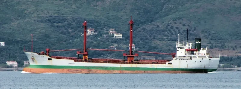 AL AMER General Cargo IMO 7500255 photo 8
