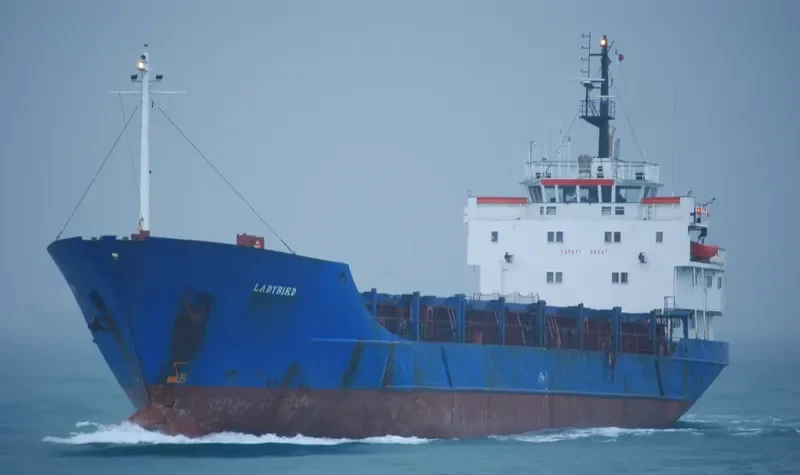 LADYBIRD General Cargo IMO 7500786