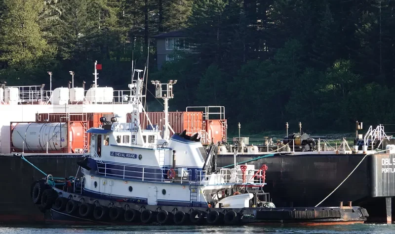 LE CHEVAL ROUGE General Cargo IMO 7501091 photo 7