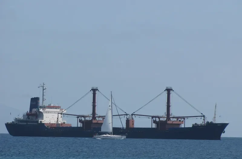 TAMREY Bulk Carrier IMO 7501261 photo 2
