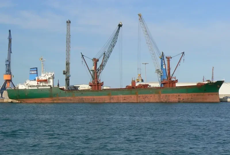 TAMREY Bulk Carrier IMO 7501261 photo 5