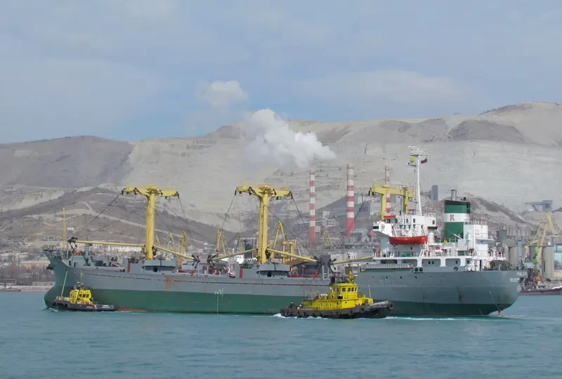 PALMYRA I Bulk Carrier IMO 7501819 photo 3