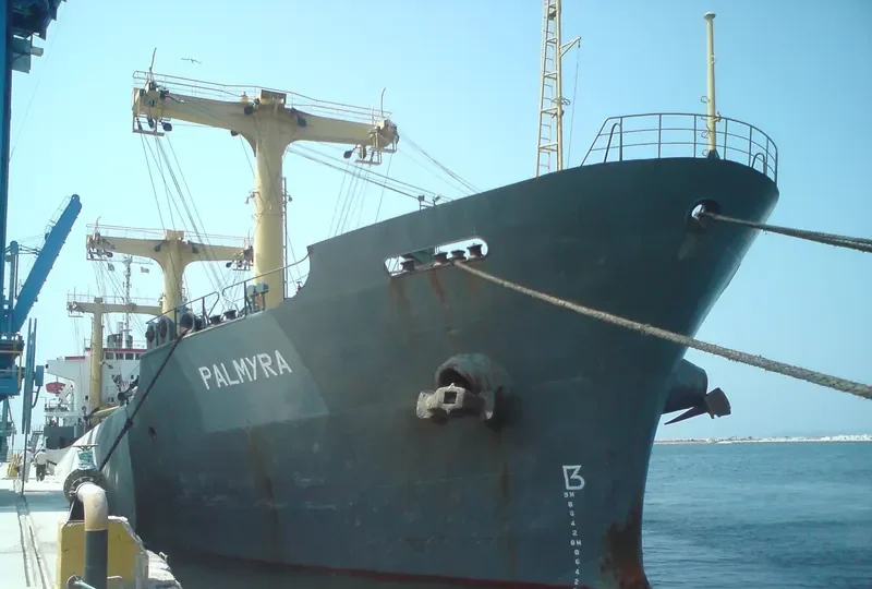 PALMYRA I Bulk Carrier IMO 7501819 photo 6