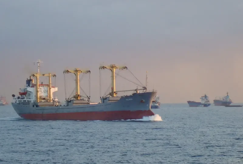 PALMYRA I Bulk Carrier IMO 7501819 photo 7