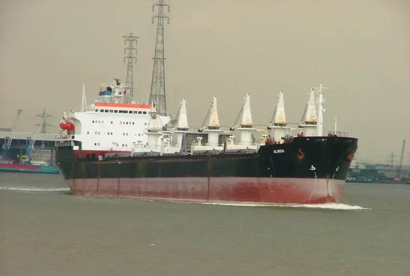 ALINDA Bulk Carrier IMO 7502899 photo 2