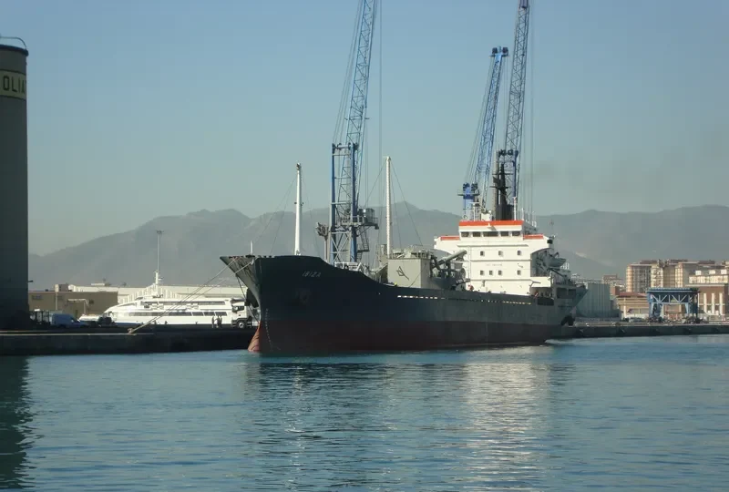 IBIZA General Cargo IMO 7503116 photo 6
