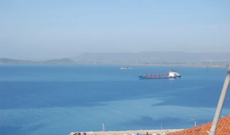 EFSTATHIOS Bulk Carrier IMO 7503867 photo 3