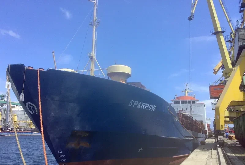 NEW MOON General Cargo IMO 7504122 photo 8