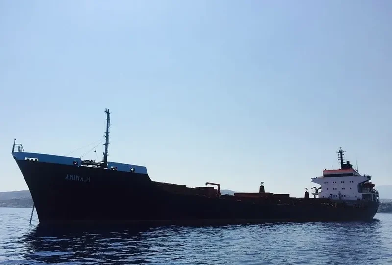AMINA H Bulk Carrier IMO 7505217