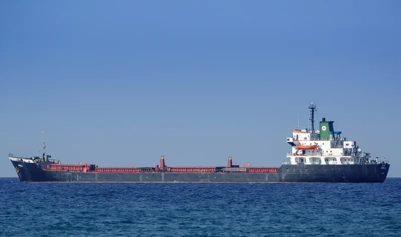 AMINA H Bulk Carrier IMO 7505217 photo 2