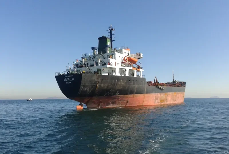 AMINA H Bulk Carrier IMO 7505217 photo 5