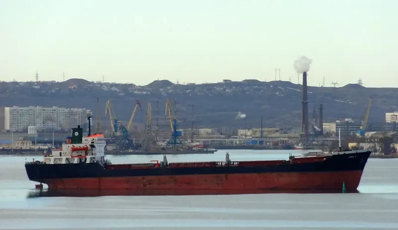 AMINA H Bulk Carrier IMO 7505217 photo 6
