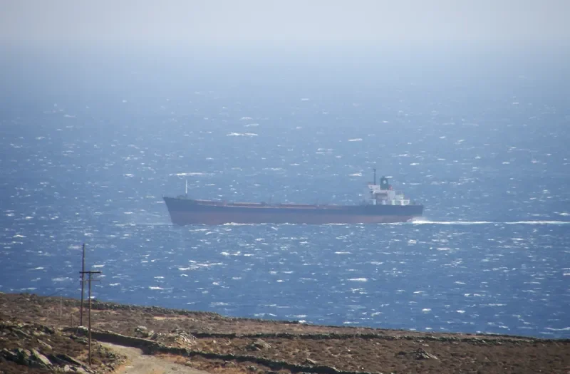 AMINA H Bulk Carrier IMO 7505217 photo 8