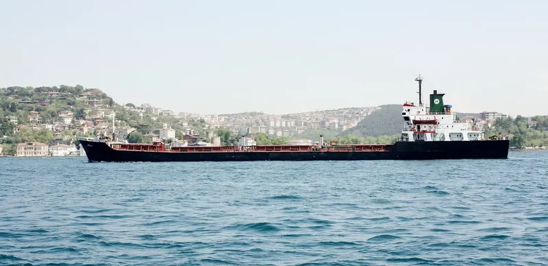 AMINA H Bulk Carrier IMO 7505217 photo 9