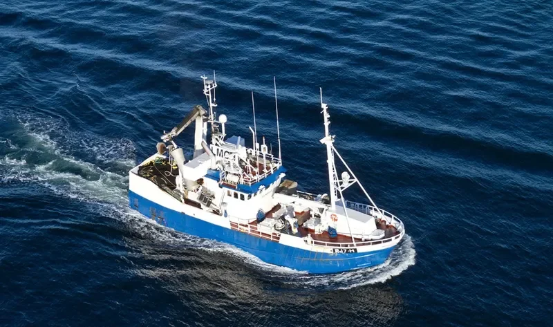 SCOMBRUS General Cargo IMO 7505499