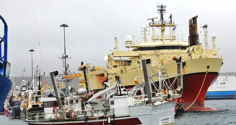 SCOMBRUS General Cargo IMO 7505499 photo 8