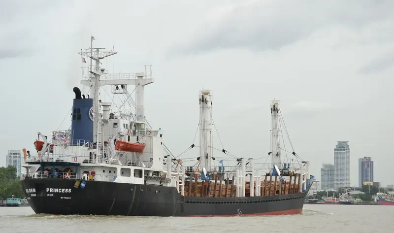 GOLDEN PRINCESS General Cargo IMO 7506077
