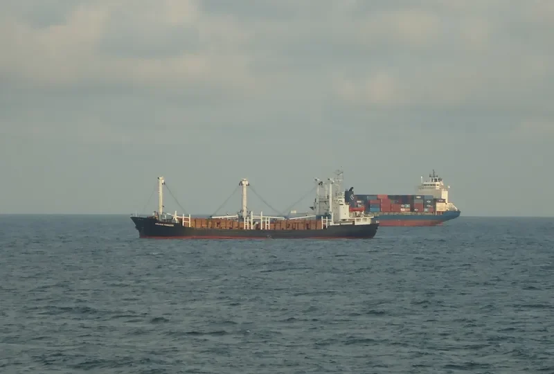 GOLDEN PRINCESS General Cargo IMO 7506077 photo 3