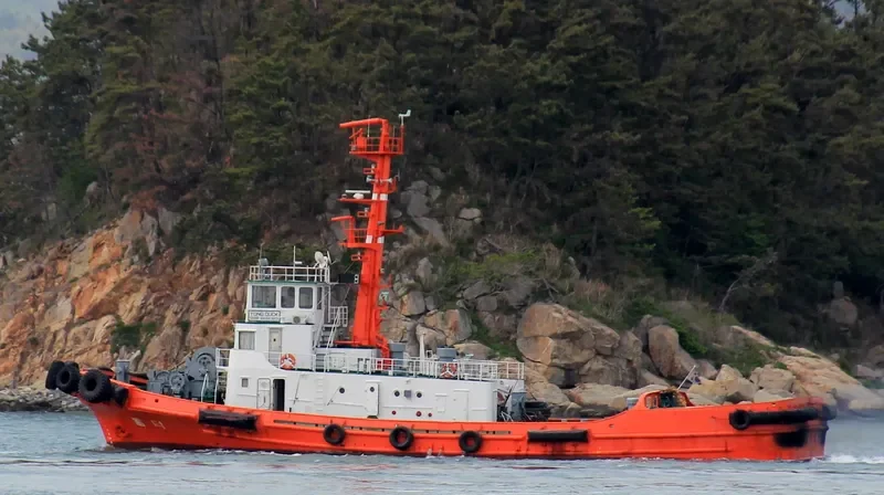 YONG DUCK Tug Boat IMO 7506144 photo 2