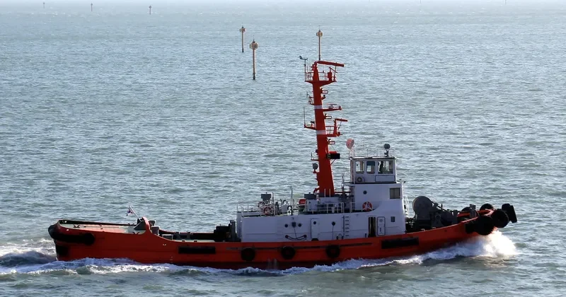 YONG DUCK Tug Boat IMO 7506144 photo 3