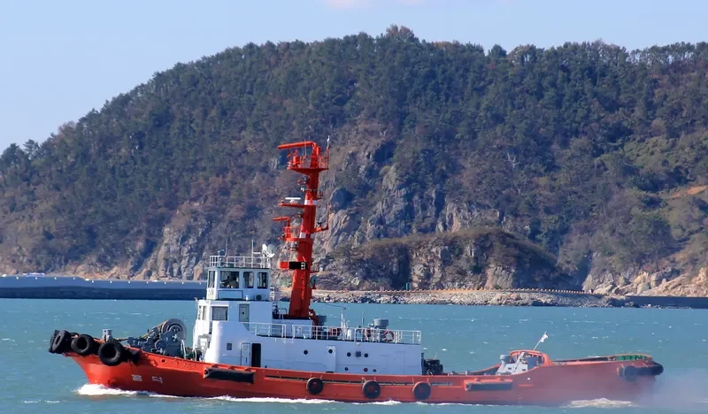 YONG DUCK Tug Boat IMO 7506144 photo 7