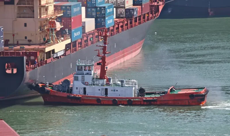 YONG DUCK Tug Boat IMO 7506144 photo 8