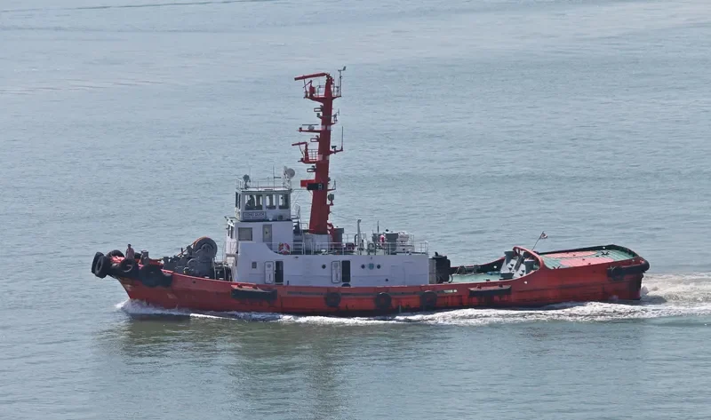 YONG DUCK Tug Boat IMO 7506144 photo 9
