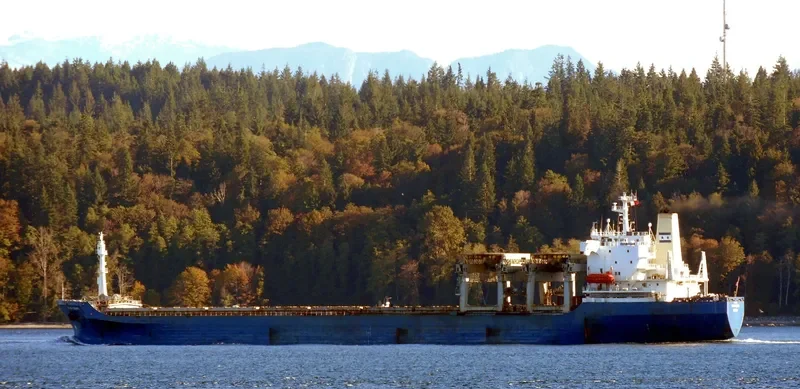 STAR DIEPPE General Cargo IMO 7507265 photo 10