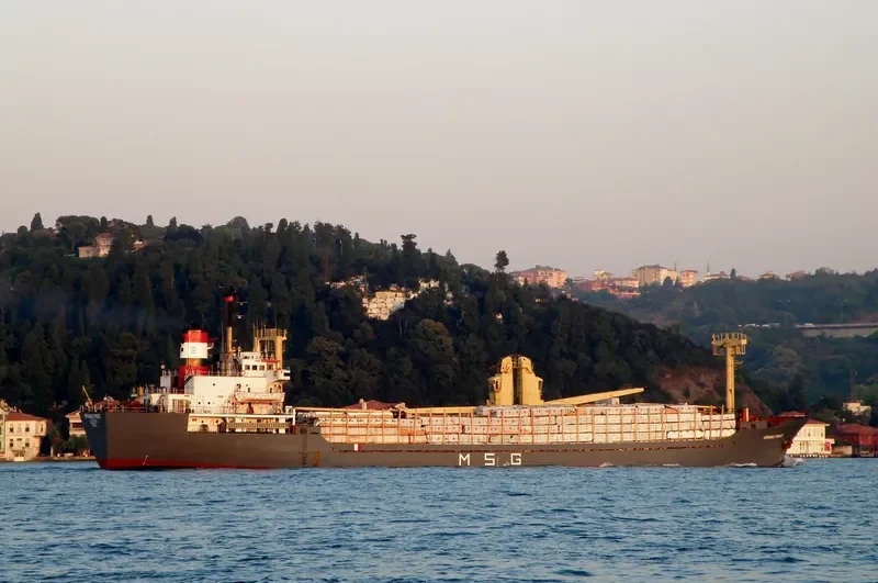 MOHAMAD PRINCE General Cargo Vessel IMO 7507605 photo 2