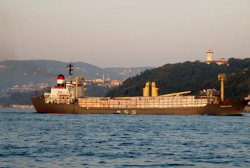 MOHAMAD PRINCE General Cargo Vessel IMO 7507605 photo 3