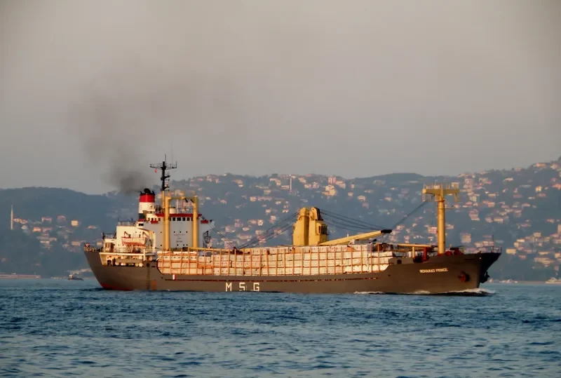 MOHAMAD PRINCE General Cargo Vessel IMO 7507605 photo 4