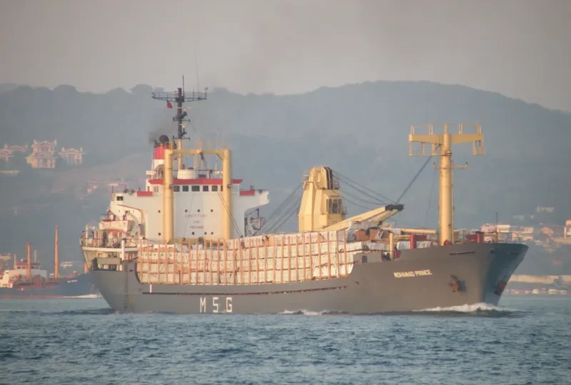 MOHAMAD PRINCE General Cargo Vessel IMO 7507605 photo 5