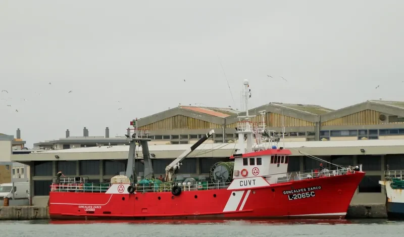GONCALVES ZARCO Fishing Vessel IMO 7507722